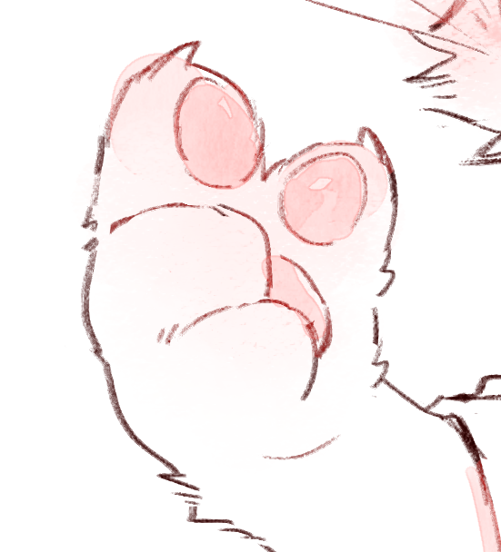 nyano52's tweet photo. paws... https://t.co/U7EDbEOxj7