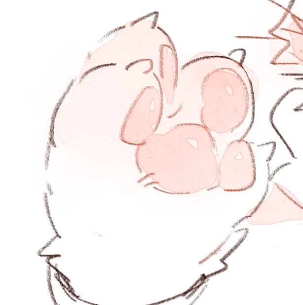 nyano52's tweet photo. paws... https://t.co/U7EDbEOxj7