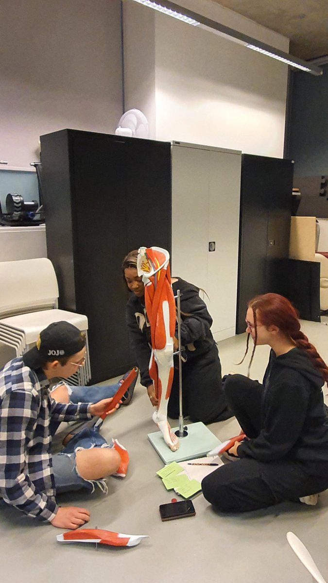 TL_DanceScience's tweet photo. Our BSc1's have been working hard and revising for their upcoming anatomy exam during their Open Lab sessions.
Here's Jack, Shemaiah and Rebecca studying and piecing together muscles in the leg.
#bscdancescience #trinitylaban #anatomy https://t.co/99np4EfnhE