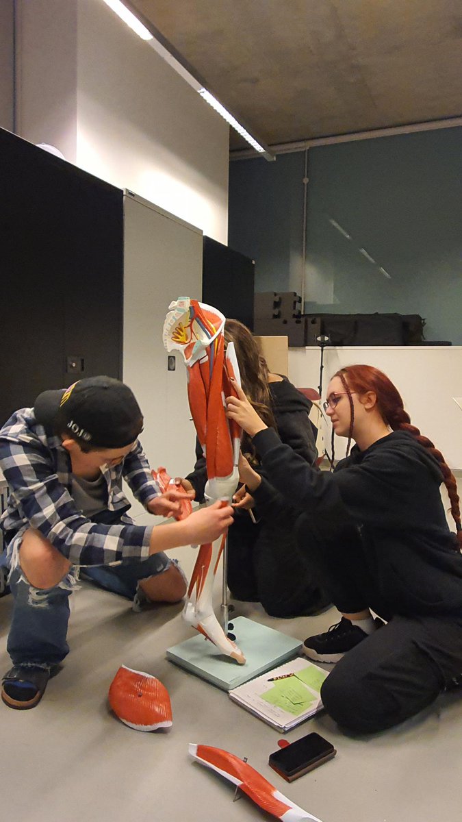 TL_DanceScience's tweet photo. Our BSc1's have been working hard and revising for their upcoming anatomy exam during their Open Lab sessions.
Here's Jack, Shemaiah and Rebecca studying and piecing together muscles in the leg.
#bscdancescience #trinitylaban #anatomy https://t.co/99np4EfnhE
