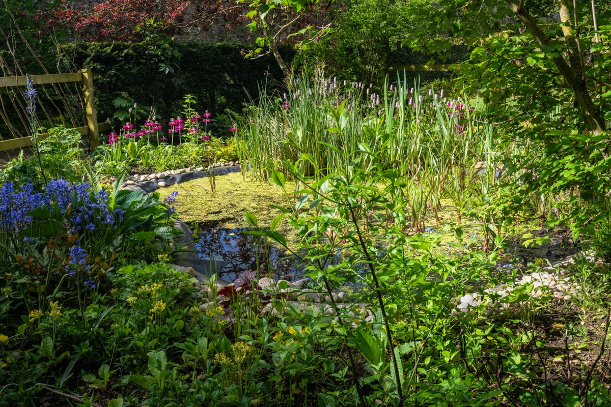 Creating a wildlife pond is one of the best ways to encourage biodiversity. This month’s blog post, by @bradshawsdirect , supplier of the pond liner we used for our own wildlife pond, offers some helpful advice to consider when creating one. bit.ly/46wF0Gl