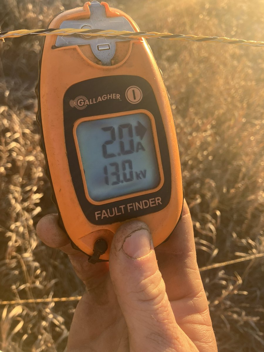 Mitch Stuart tweet media