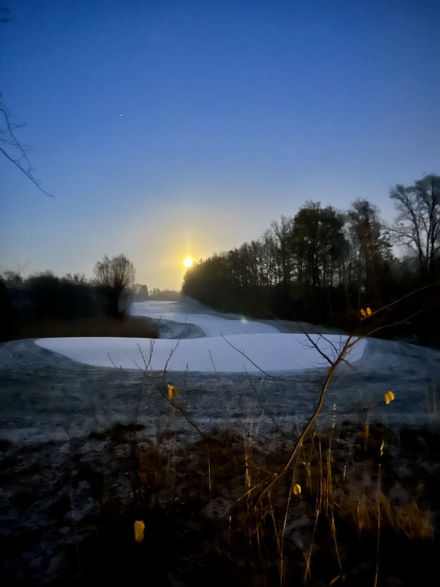 David Shepherd tweet media