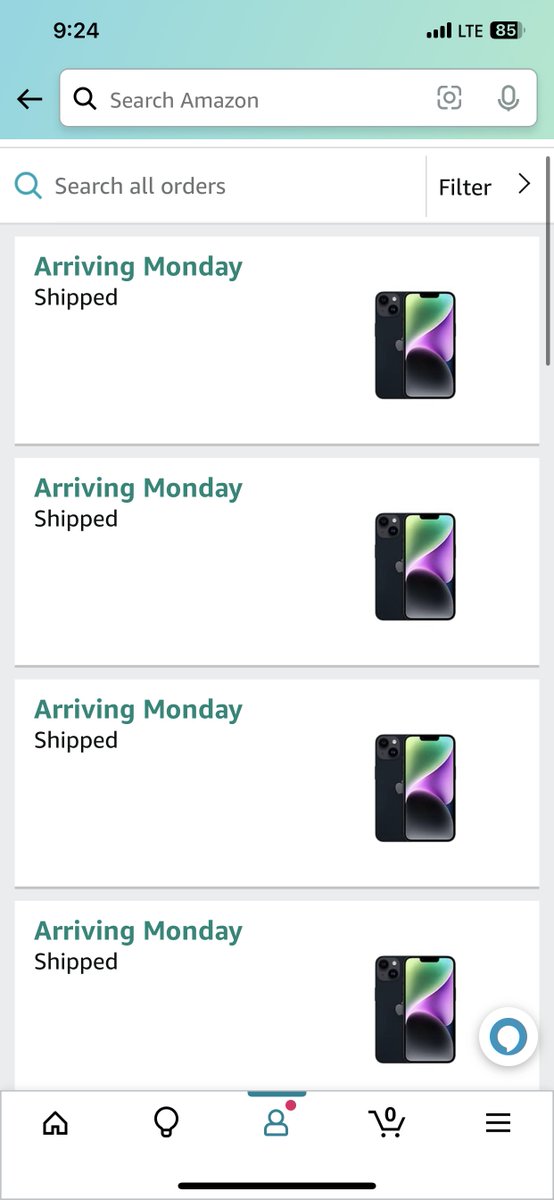 Paradise tweet media