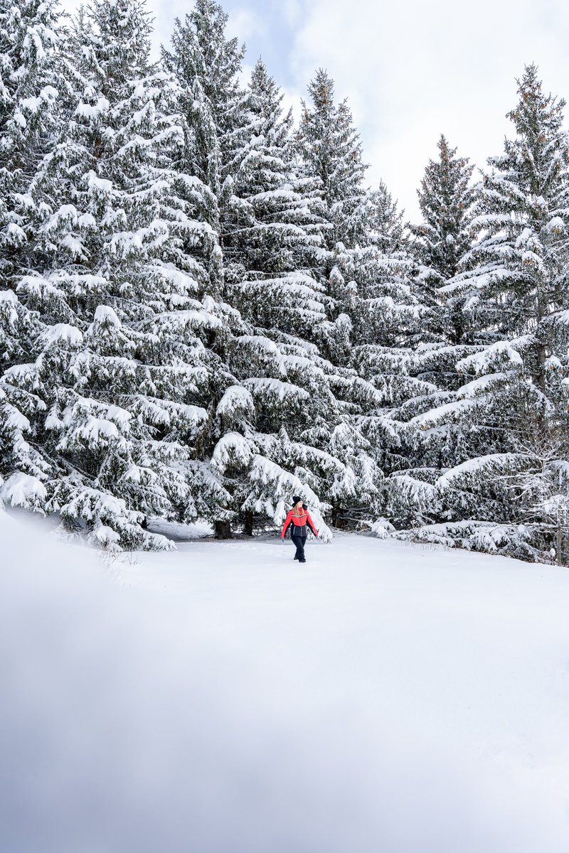 Fait d’hiver : +30cm de ❄️❄️❄️

#laplagne