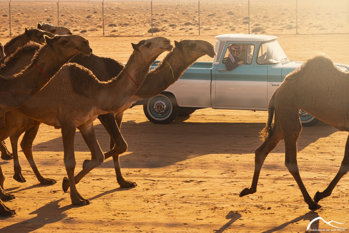 bns3d10's tweet photo. هذا الشعب الذي يعيش في الصحراء لديه الكثير من القيم والمباديء والعزيمة والركائز 
تجعله يصل لأي نجاح يريد ويحقق افاق جديدة في العالم 
 #محمد_بن_سلمان 

.
#RiyadhExpo2030 
#الرياض_إكسبو2030 
#Saudi_Arabia 
#السعودية https://t.co/5xftH2UqGr