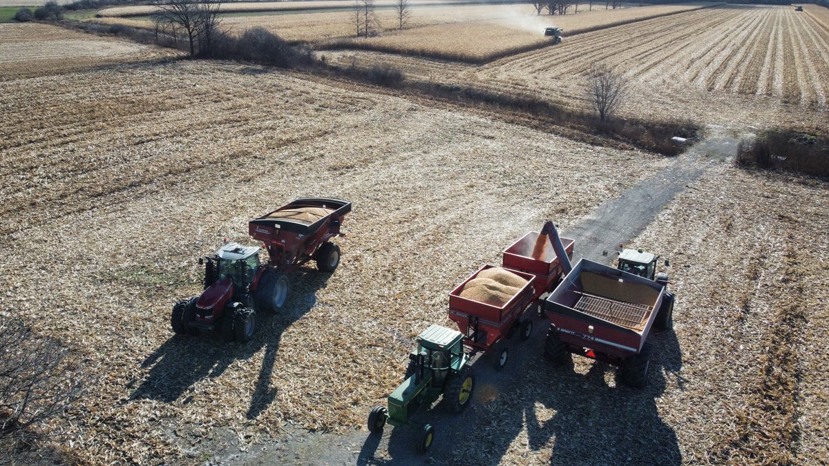 Ryan Benjamins tweet media