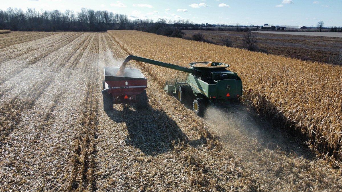 Ryan Benjamins tweet media