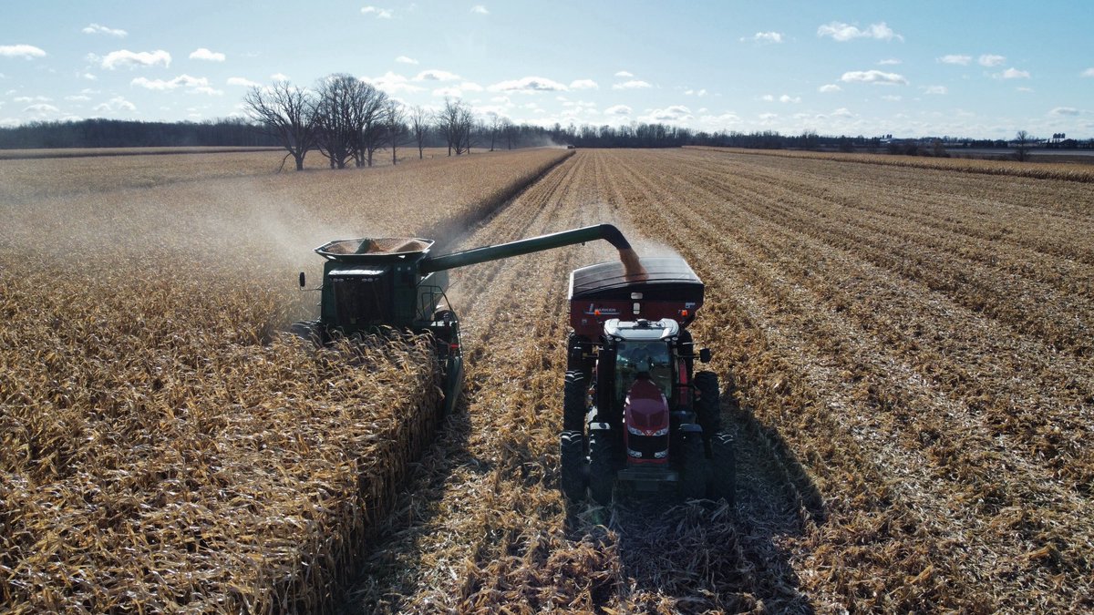 Ryan Benjamins tweet media