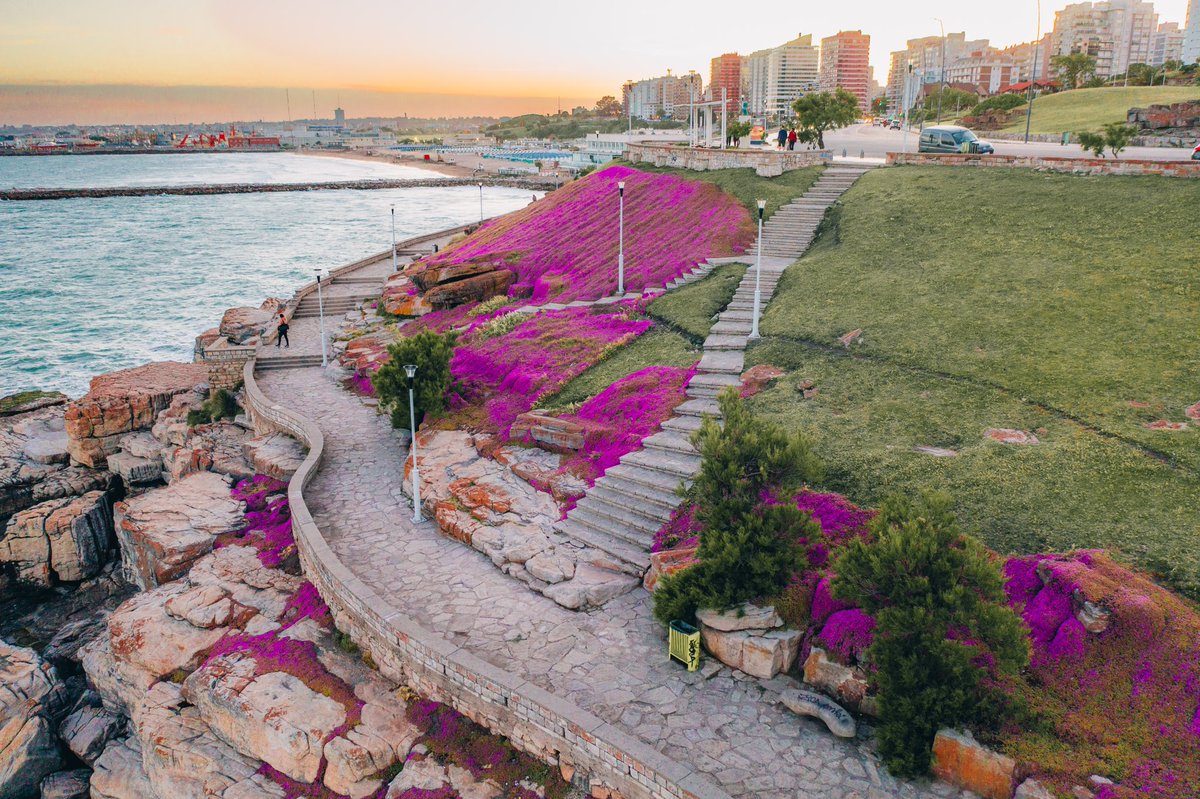 Juanchi_Ugalde's tweet photo. La ciudad de Mar del Plata y sus colores 🥹🫶🏻💞

Las florcitas primaverales en Playa Grande 🌸💐🌺🌷 https://t.co/5CbdIlIoPr