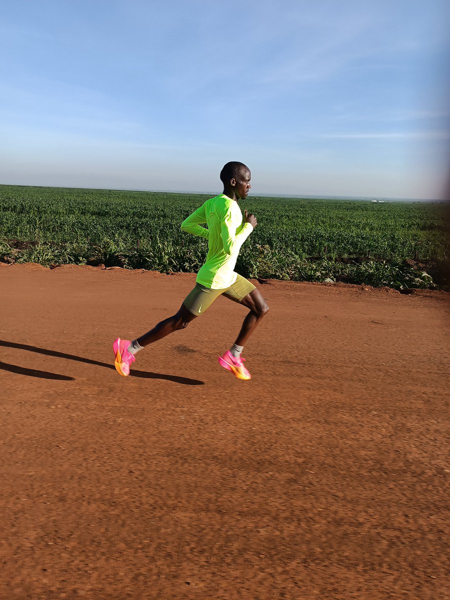 rosassociati's tweet photo. Another tempo run in the bag.
๐บ๐ฌ
#nike #nikerunning #training #run #running #runners #athletics #trainings #traininggroup #sport #trainingoftheday #trainingmotivation #trainingmode https://t.co/FXUYA1pJ9H