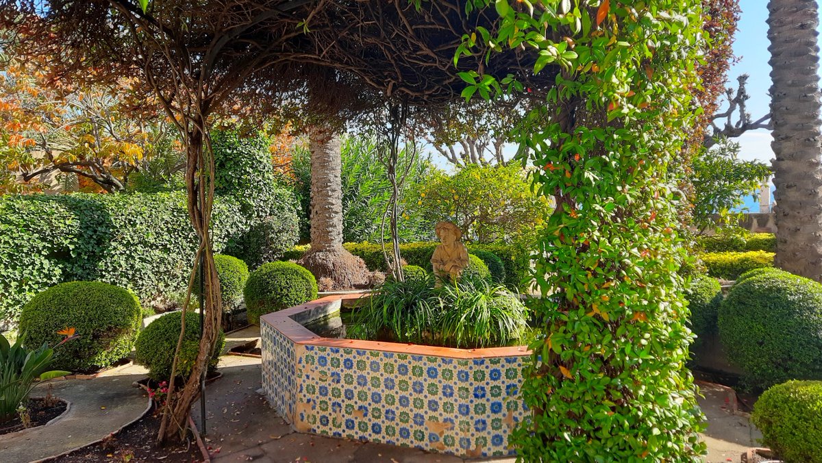 Viles Florides tweet media