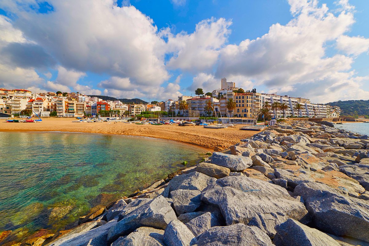 Viles Florides tweet media