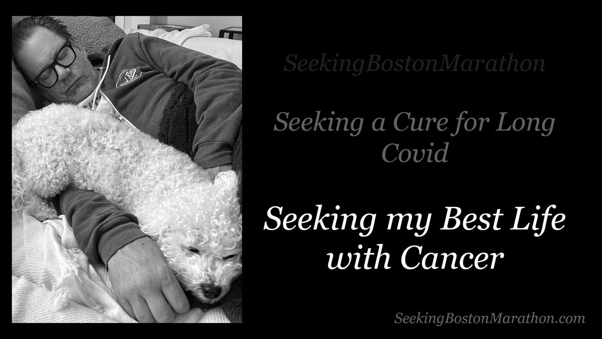 Seeking Boston Marathon tweet media