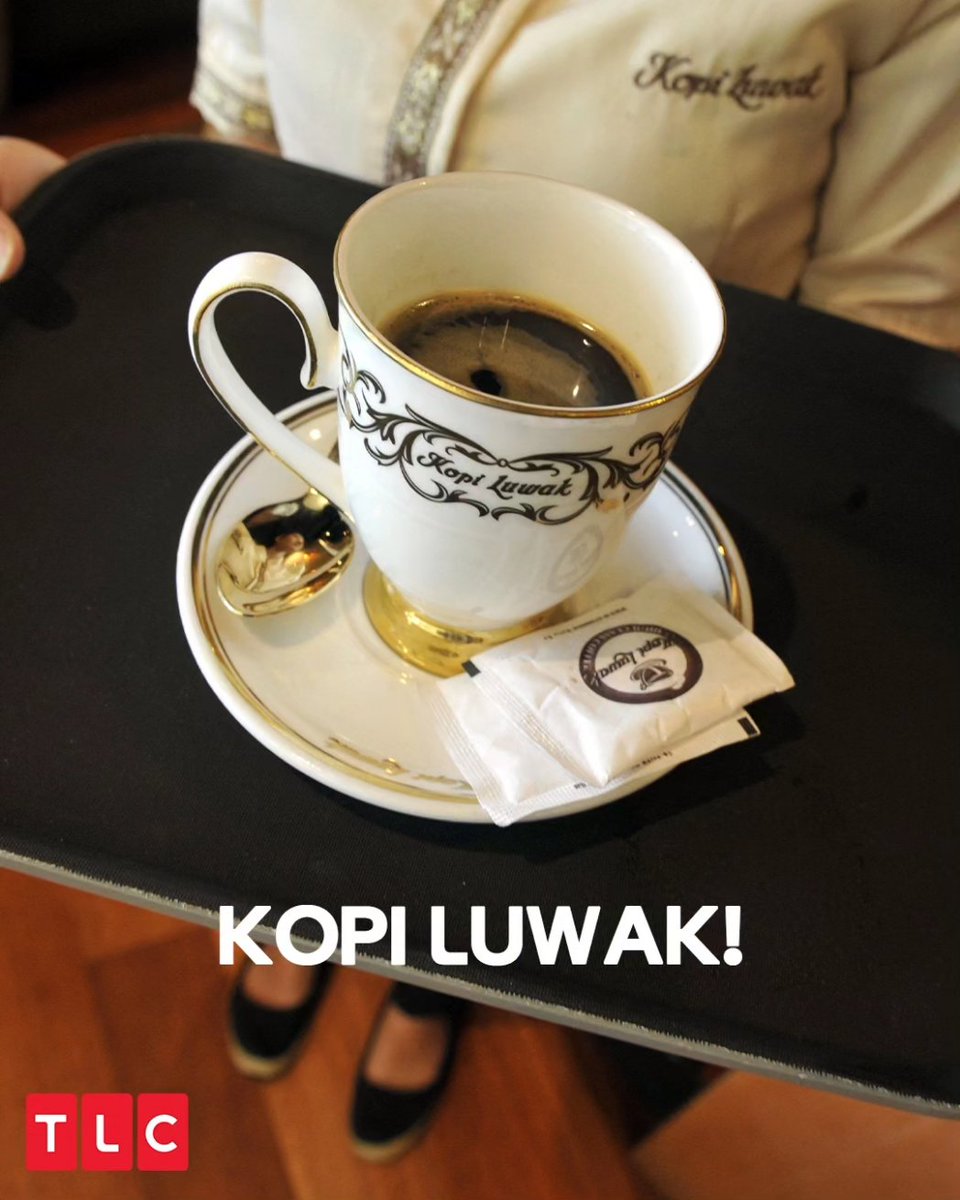 TLCINOfficial's tweet photo. In case you’re wondering what Kopi Luwak tastes like - it’s smooth, has a non-bitter taste, highlighted by earthy sweetness and a hint of chocolate!
#TLCIndia #TLC #ExpensiveCoffee #CatPoopCoffee https://t.co/2PiUqVP2IS