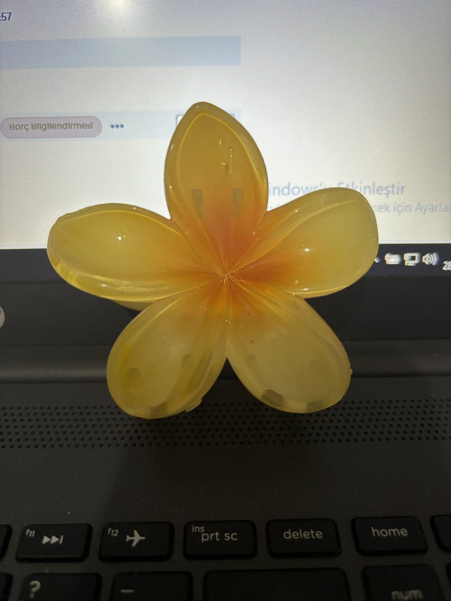 ftsscu's tweet photo. Peki tokamın güzelliği 🌸 https://t.co/fpU9qbXODR