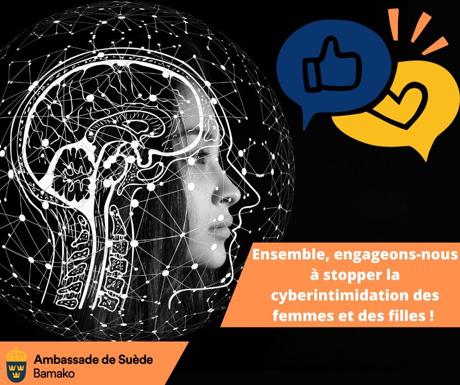 VBG facilitée par la technologie prend diverses formes, de la cyberintimidation aux discours de haine en ligne. 🤚🛑 Ensemble, engageons-nous à stopper ces violences et créer un monde numérique plus sûr et égalitaire.#SuèdecontreVBG #16Jours #Pasdexcuse #ÉgalitéEnAction #StopVBG