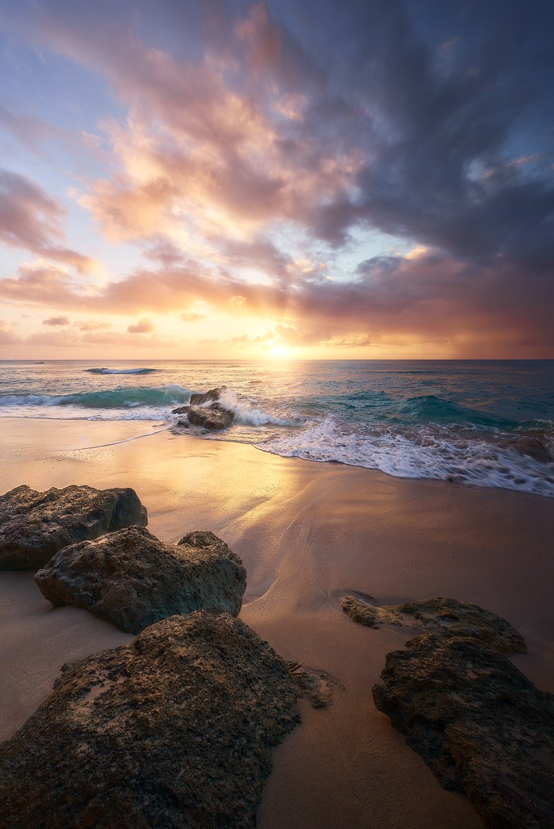 David | dsx tweet media