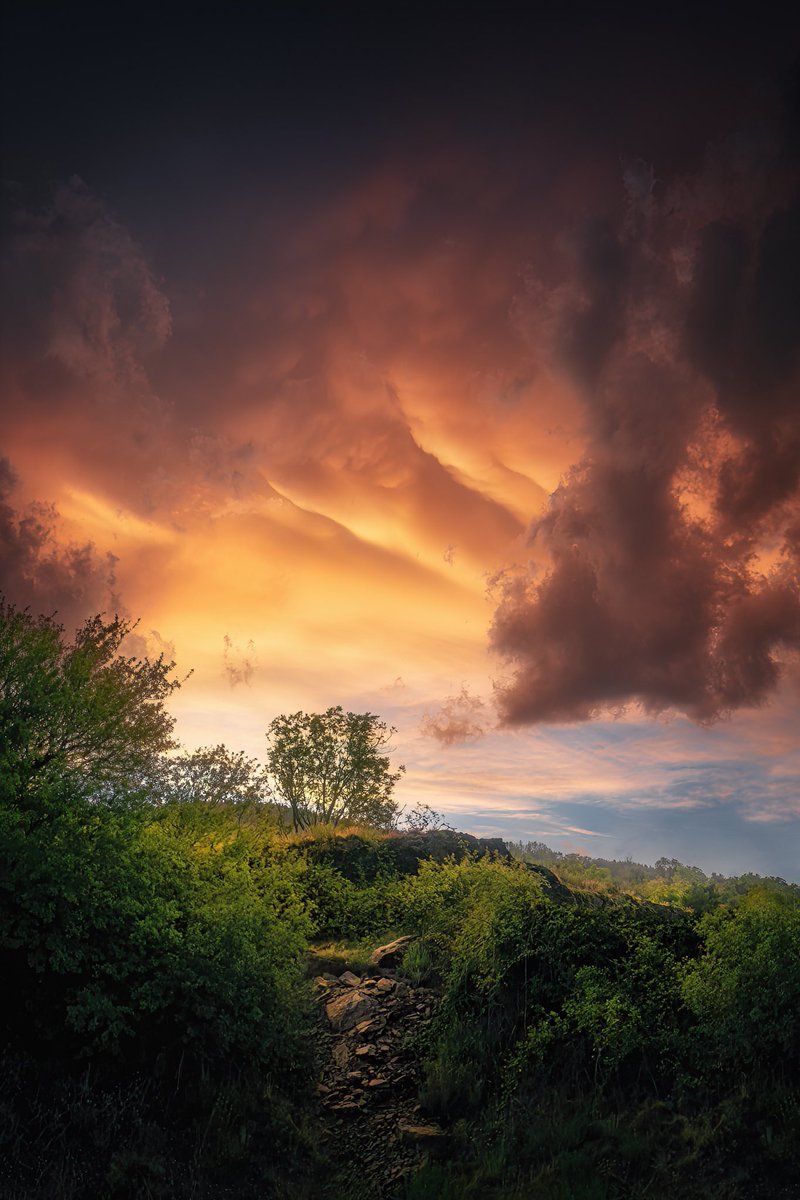 David | dsx tweet media