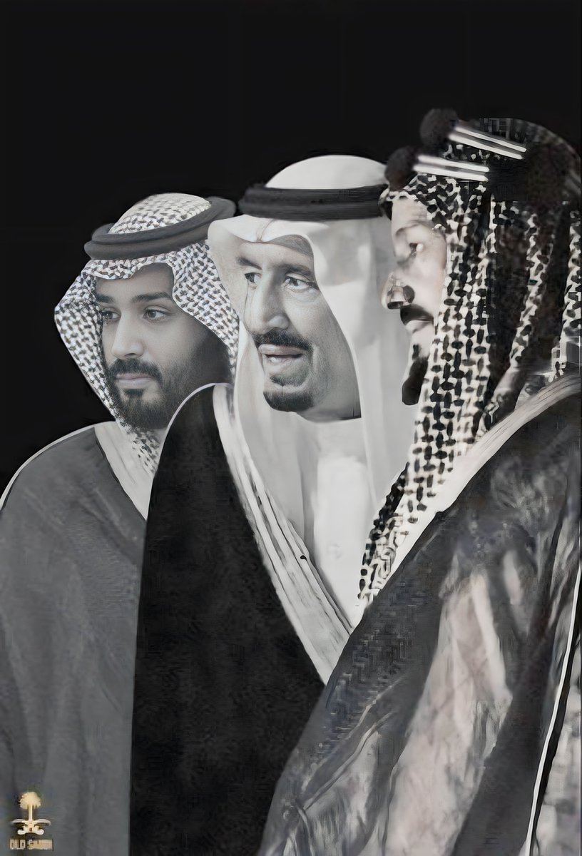 هتان بن محمد tweet media