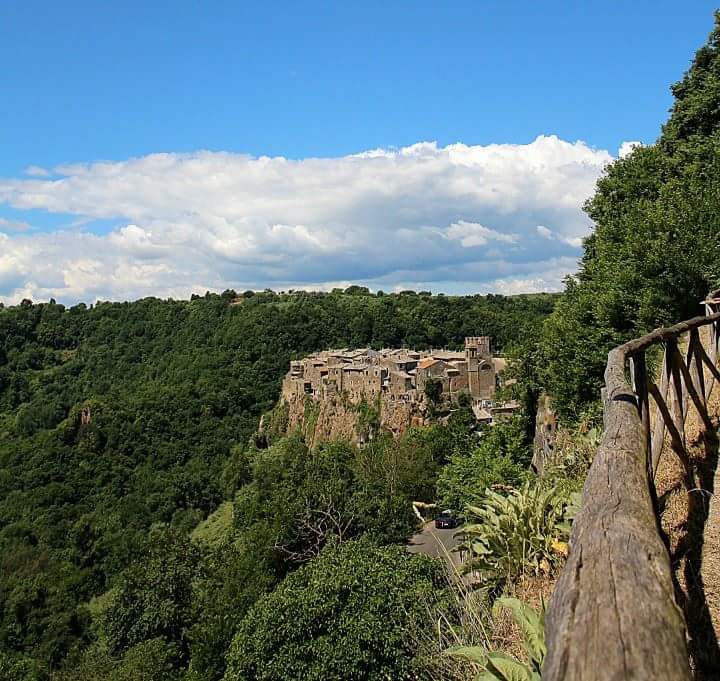 Il Foliage al Parco Valle del Treja: domenica 3 dicembre scopriamo i colori dell’autunno Foto di Teresa Di Cosimo <a href="/ParcoTreja/">ParcoValledelTreja</a> shorturl.at/lNSZ2