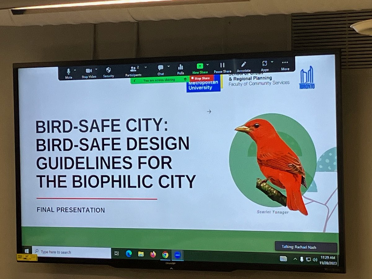 TMUsurp's tweet image. Wrapping up the morning...Bird-Safe City: Bird-Safe Design Guidelines for the Biophilic City presenting now! #SURPStudio #birdsafedesign