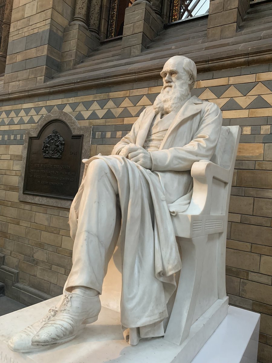 The best location <a href="/NHM_London/">Natural History Museum</a> to work with some amazing people to plan the climate curriculum @cape_alliance #hope #galvanised