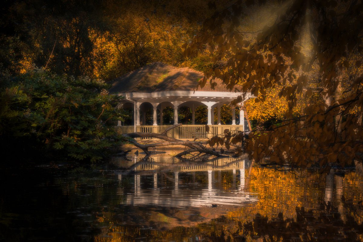 Eamon Sherry tweet media