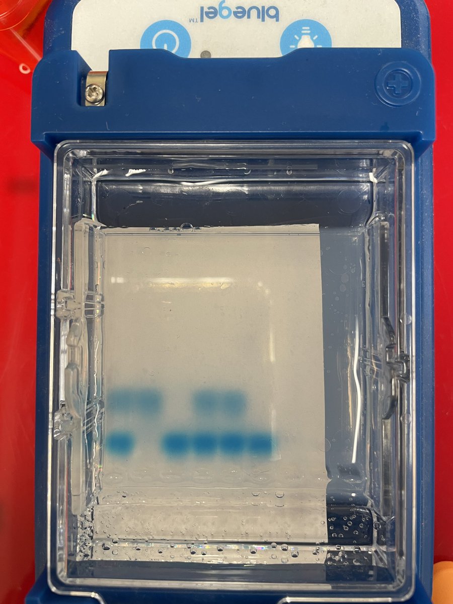 Wendy Courtney tweet media