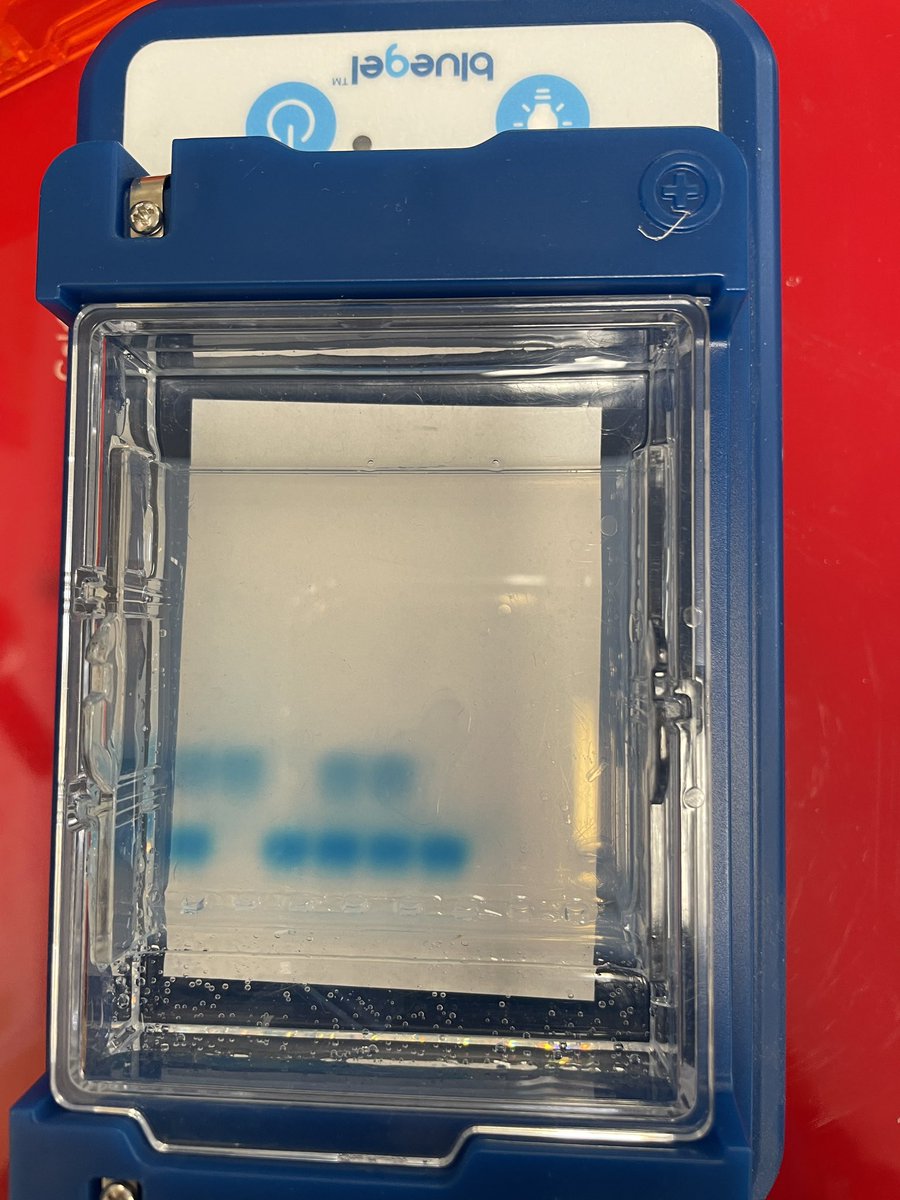 Wendy Courtney tweet media