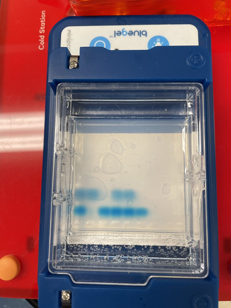 Wendy Courtney tweet media