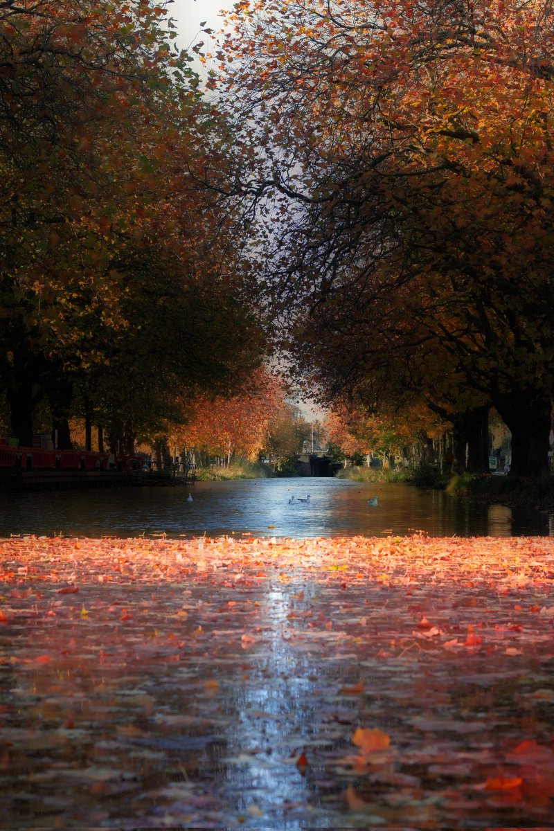 Eamon Sherry tweet media