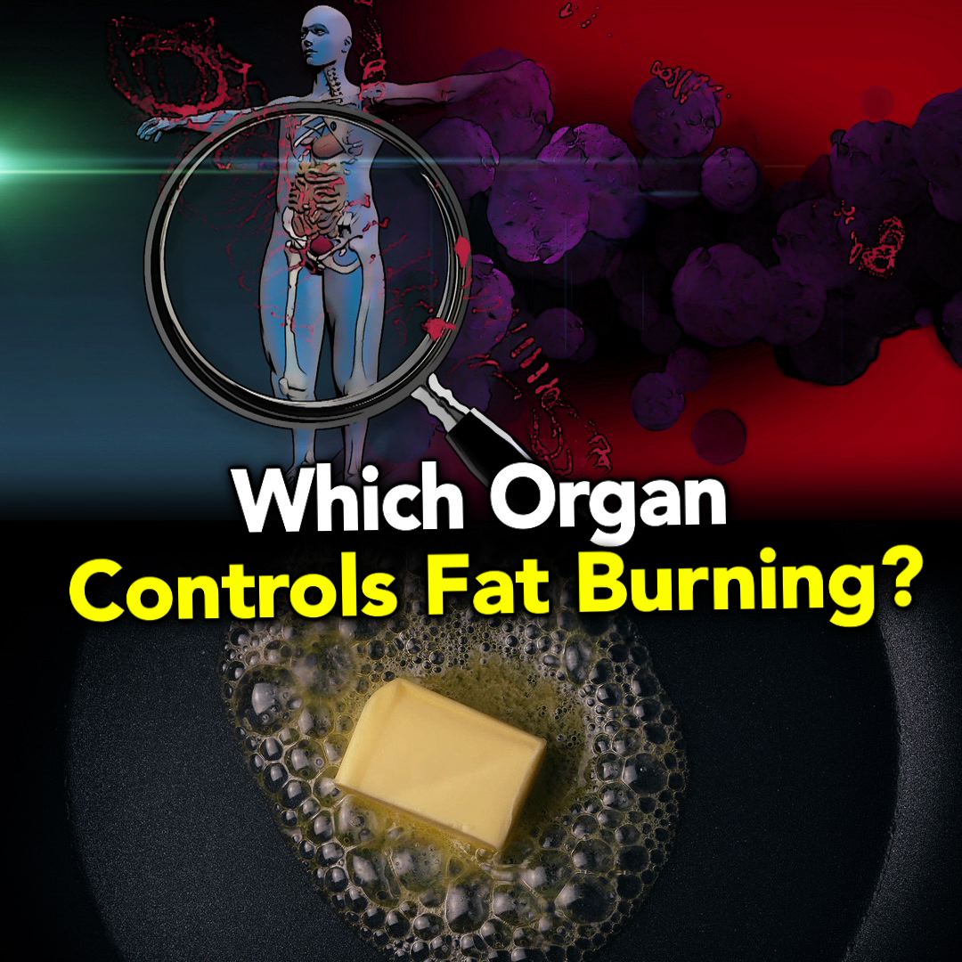 MarketersSrvce's tweet photo. Learn why You can't lose weight!
https://t.co/0uljPZIQdt
#livpure #weightloss #losebodyfat #losebellyfat #weightlosssupplement #liverconditions #liverepair #livercleanse #liverissues https://t.co/28uf68jqpG