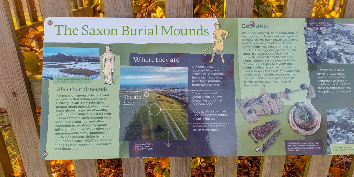 The ancient #fieldsystem, #trackway and #Saxon #barrows on #FarthingDowns were scheduled as an #AncientMonument today Nov 29, 1932. The trackway now forms part of the #LondonLoop, and the larger group of barrows can be found just to the north of #TheFolly clump of trees.