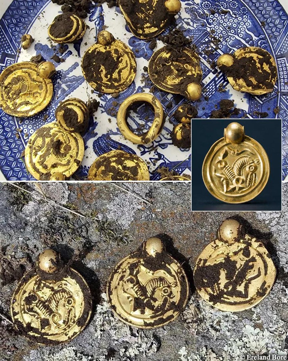 In a discovery hailed as “Norway’s gold find of the century,” a Norwegian metal detectorist, stumbled upon a treasure trove of gold jewelry on the island of Rennesøy, Norway. This find dates back to the 6th century CE. Continue Reading: archaeologymag.com/2023/09/norweg… #archaeology