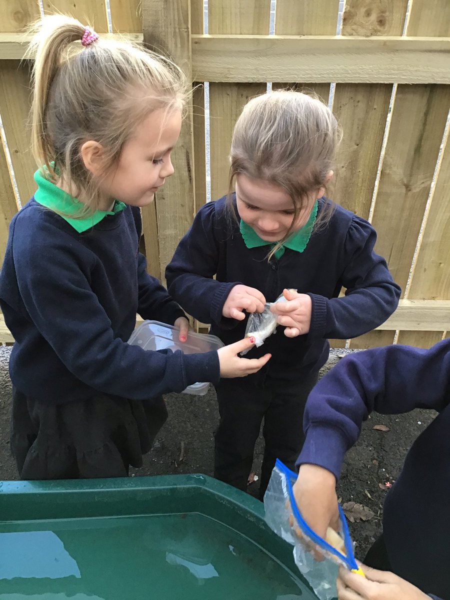 AGFS_Year1's tweet photo. Today in science class 3 received a message from Mr Bunting asking for our help. He wanted to know which materials would be the best to keep his lunch dry. We had to investigate which materials were waterproof. Some of our sandwiches stayed dry however some ended up very soggy! https://t.co/wJPT59Grpl