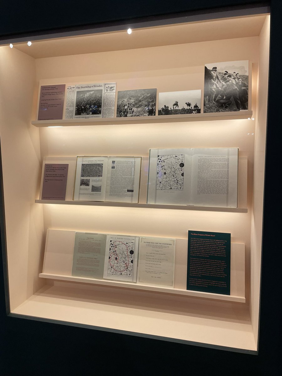 Rowan Bain tweet media