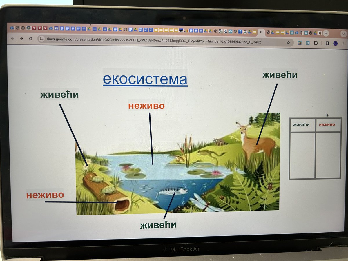 Maria Seid (@mariaseid) on Twitter photo Loved spending time yesterday with 1st yr Skyview teachers @ New Teacher Academy! Teachers experienced what it felt like to receive comprehensible input with powerful visuals in a simulated lesson in another language.<a href="/MsBushraHaq/">Bushra Haq</a> #risdrsp <a href="/katrinacollinsx/">kat</a> #comprehensibleinput4all Loved spending time yesterday with 1st yr Skyview teachers @ New Teacher Academy! Teachers experienced what it felt like to receive comprehensible input with powerful visuals in a simulated lesson in another language.<a href="/MsBushraHaq/">Bushra Haq</a> #risdrsp <a href="/katrinacollinsx/">kat</a> #comprehensibleinput4all