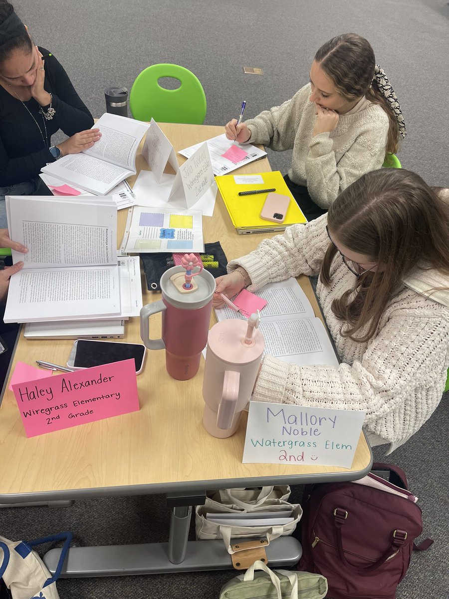 Kelsi Schmidt tweet media