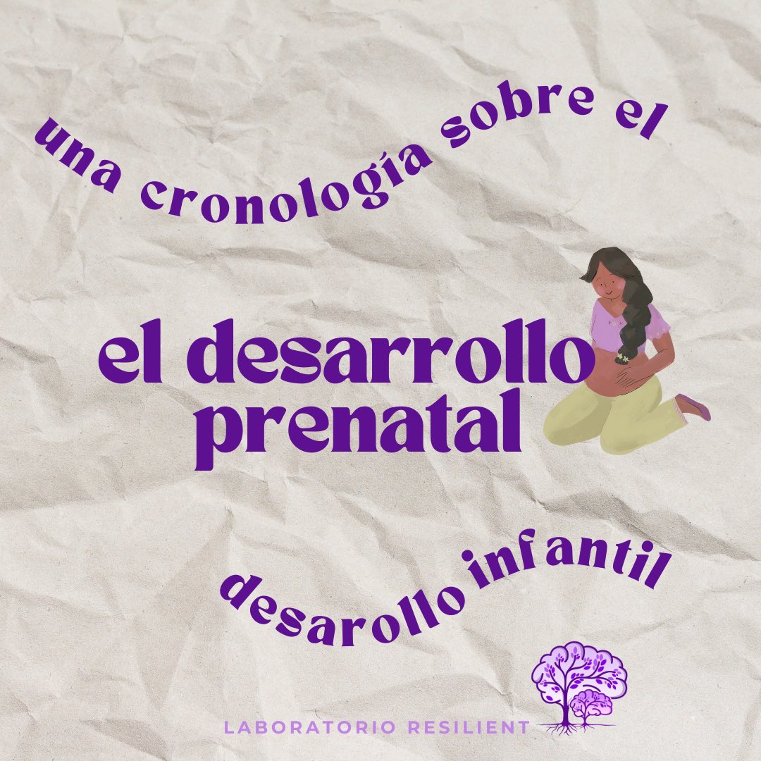 Ever wondered about infant development? Let’s take a look at its timeline, starting with prenatal development!
#babyhealth #pregnancy #prenatal