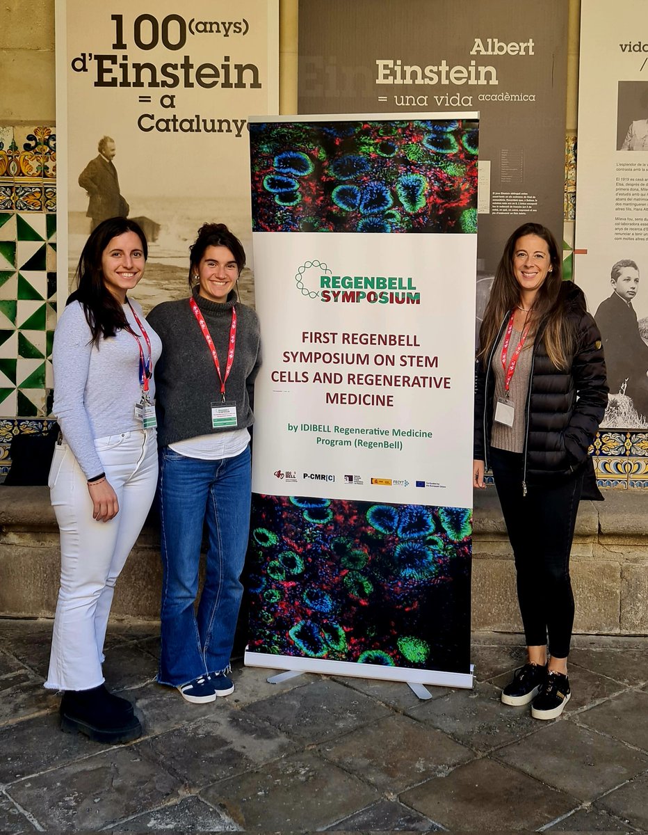 ADuarriPhd's tweet photo. We had a great time at the #Regenbell symposium on stem cells and regenerative medicine in Barcelona. @HelenaIsla gave a poster presentation on multiocular organoids as a disease model for retinal pathologies. @MaddalenZufiaurre @Ophthalmo_lab https://t.co/uziAUIfWA3