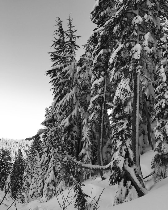 Does anyone have any ski trips planned this winter? Where you going? https://t.co/eLYGJYPhLW<a href="/tag/throwback"class="tags"><span>#throwback</span></a><a href="/tag/skatepark"class="tags"><span>#skatepark</span></a><a href="/tag/laceygirl"class="tags"><span>#laceygirl</span></a><a href="/tag/mammothlake"class="tags"><span>#mammothlake</span></a>