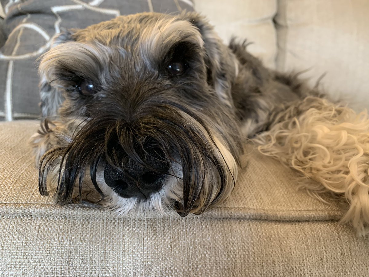 Oliver Holcomb tweet media