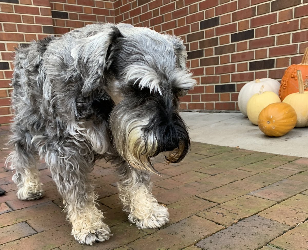 Oliver Holcomb tweet media