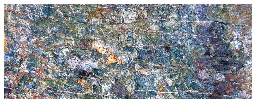 Claire Ogden (Saltdragon) tweet media