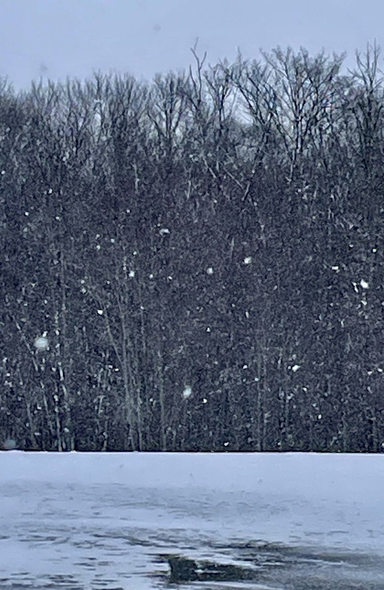 mpicsb's tweet image. 