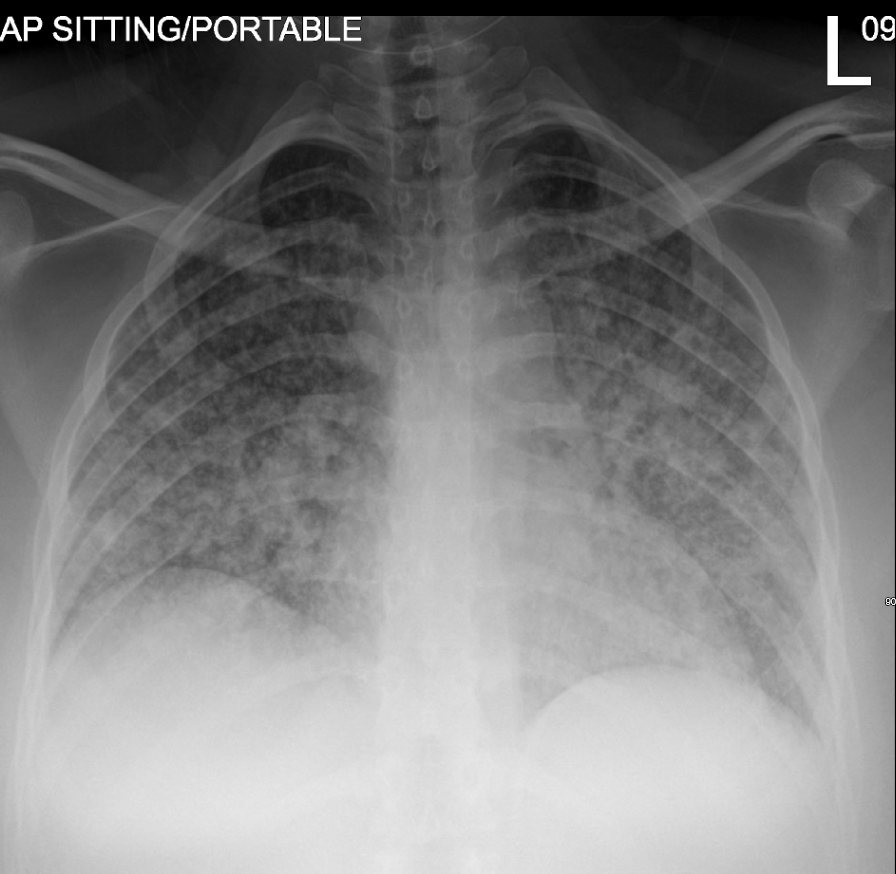 Dr Ihab Suliman tweet media