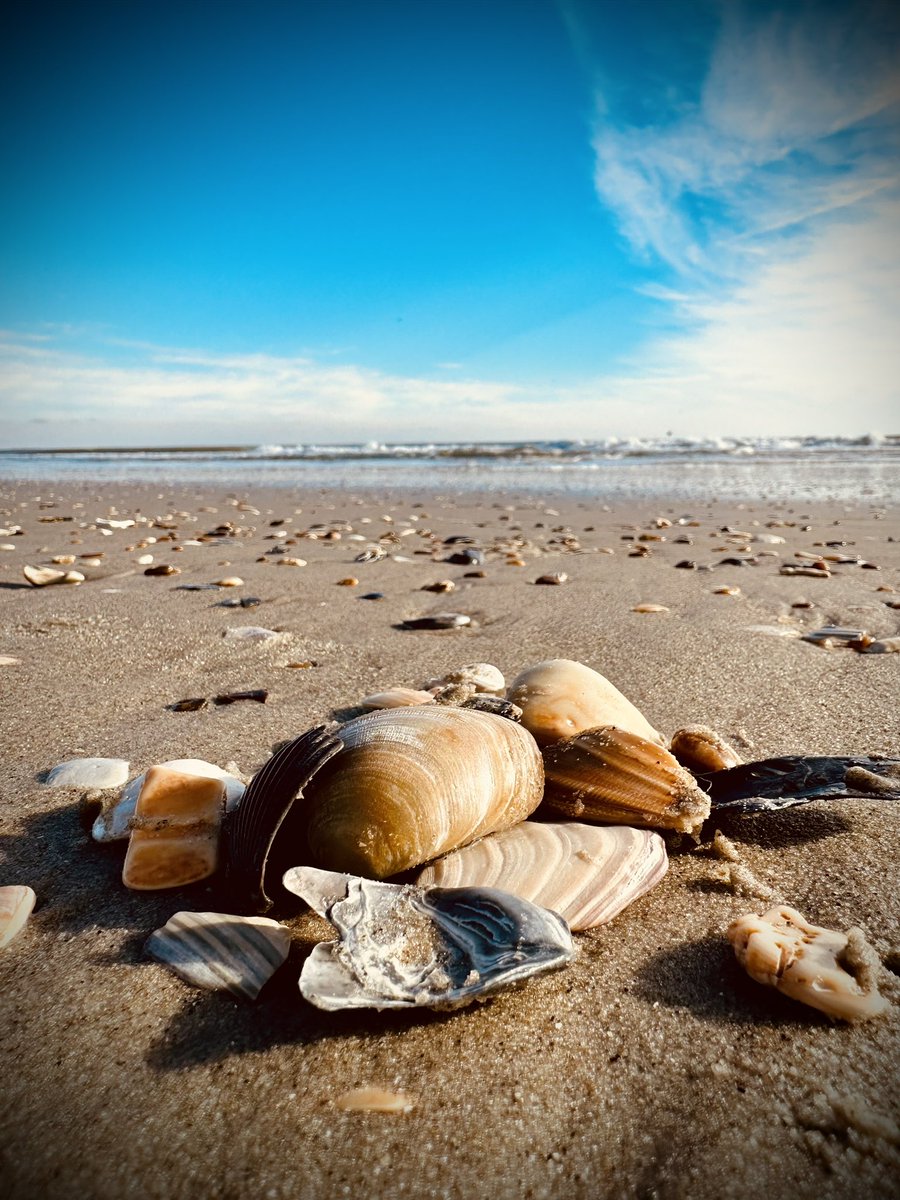 #shotoniphone @Apple #outerbanksNC