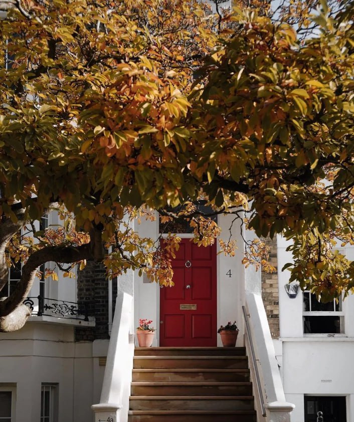 SweetMood192's tweet photo. 🌞💫The future is a small house, two people in pairs, three meals a day, the cycle of four seasons, warm spring and snow in winter,😊😊 https://t.co/X1KUofFP11