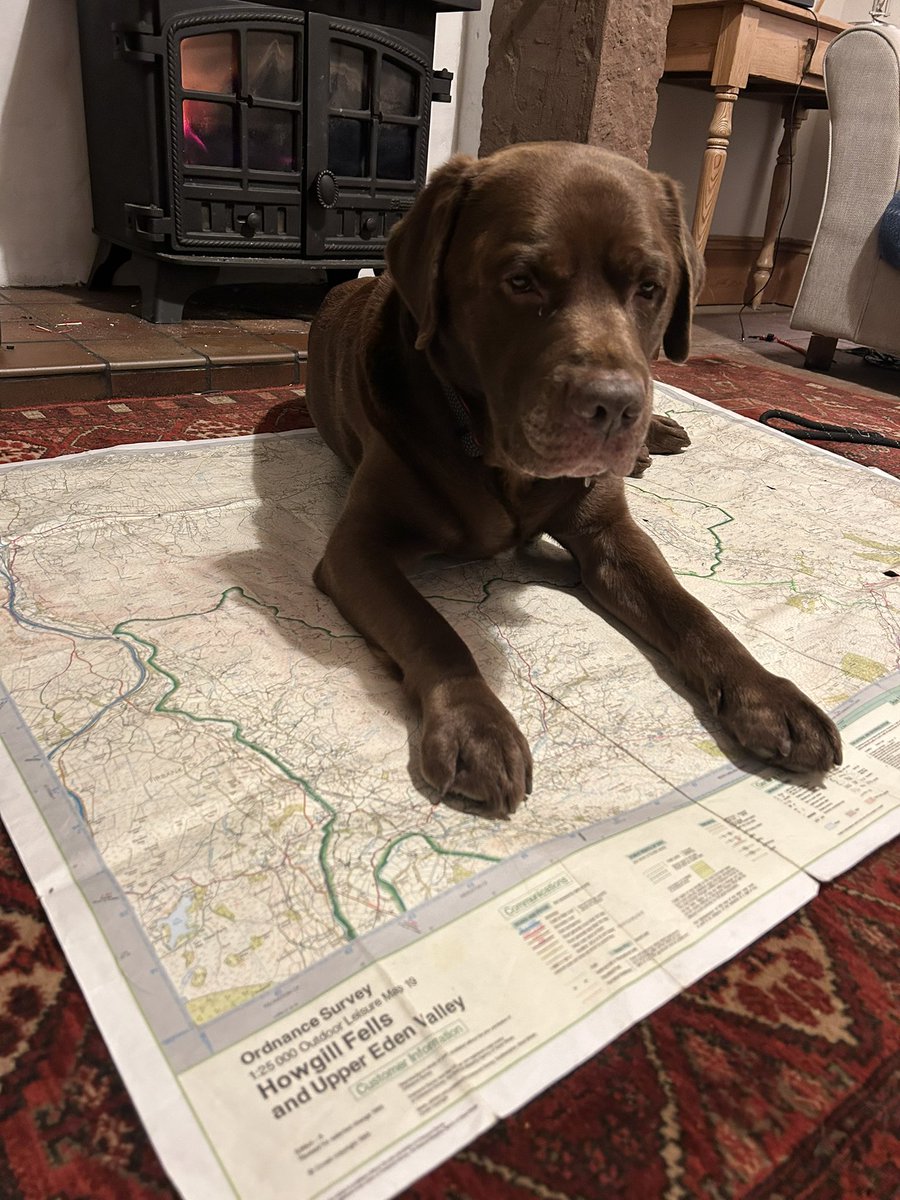 Northlakesuk's tweet photo. 2 days off work and the weather is looking nice n frosty for a hill wander only trouble is I can’t decide where to go but someone has just pointed his paw at Sedbergh as a starting point :-) so I guess the decision has been made 👍 #mansbestfriend #hiking #howgillfells https://t.co/OAd130EOEx